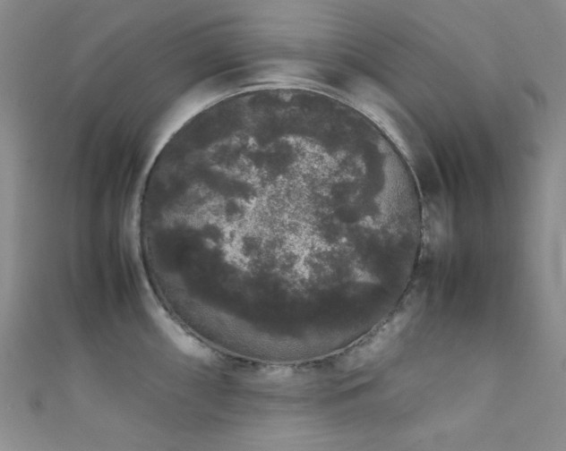 X0000111371098200907101206