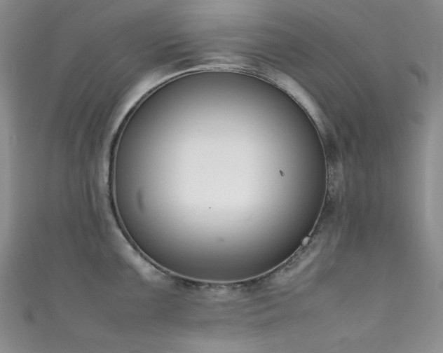 X0000111371099200907101206