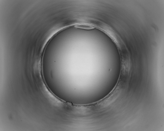 X0000111371100200907101206