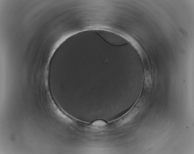 X0000111371102200907101206