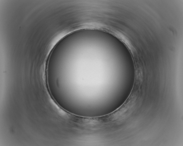 X0000111371103200907101206