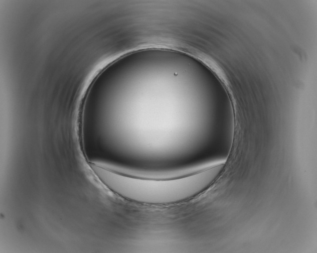 X0000111371104200907101206