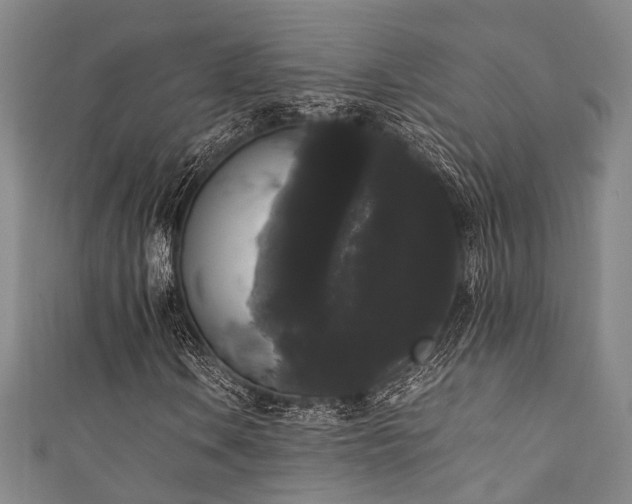 X0000111371106200907101205