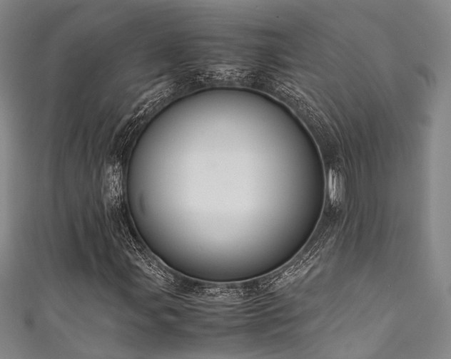 X0000111371107200907101205