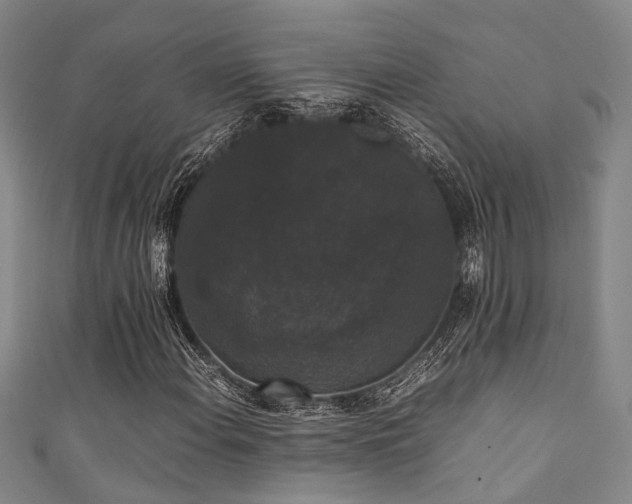 X0000111371108200907101205
