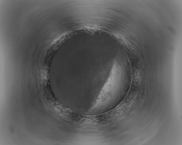 X0000111371110200907101205
