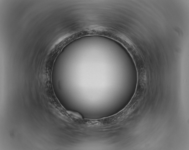 X0000111371112200907101205