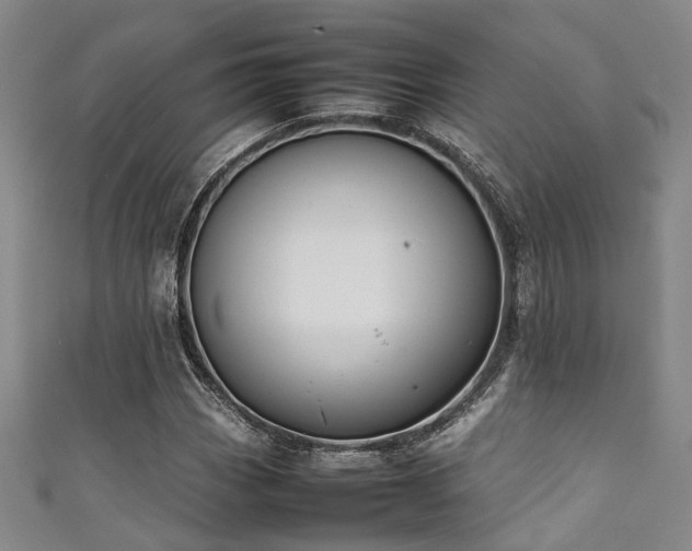 X0000111371113200907101205