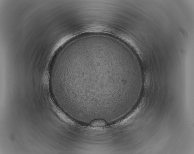 X0000111371114200907101205