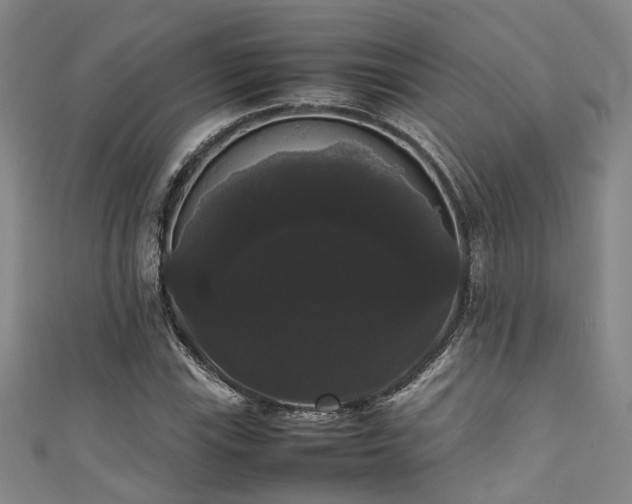 X0000111371115200907101205