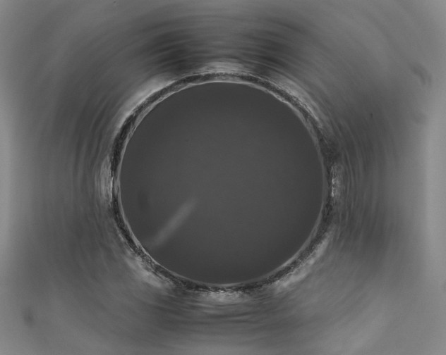 X0000111371117200907101205