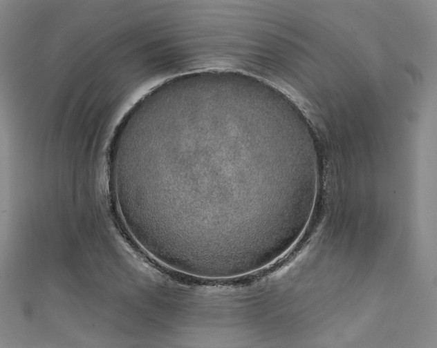 X0000111371118200907101205