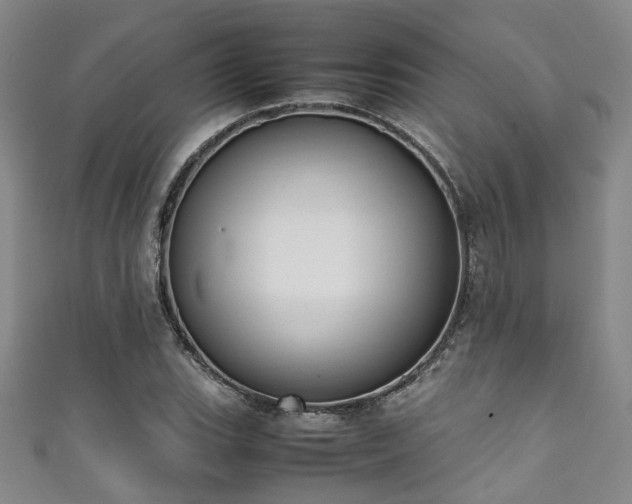 X0000111371119200907101205