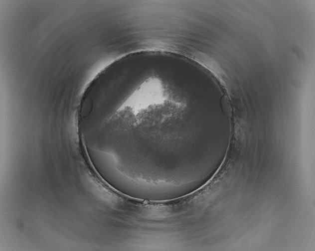 X0000111371120200907101205