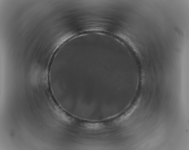 X0000111371121200907101205