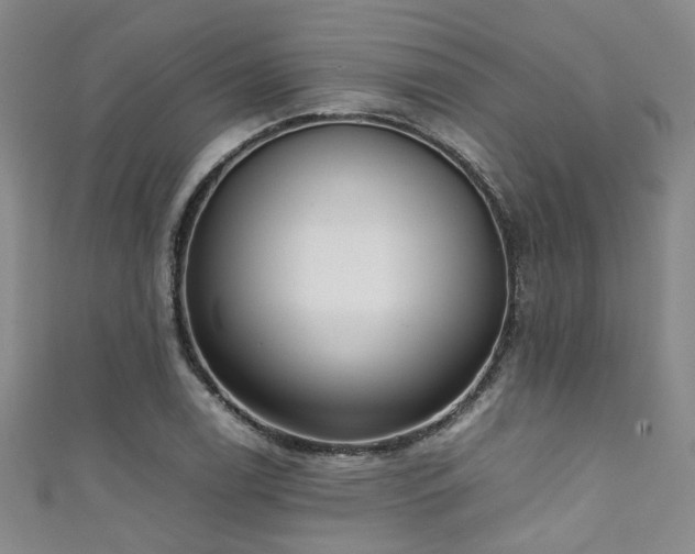 X0000111371122200907101205