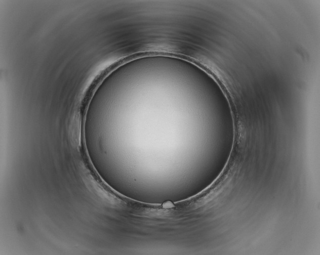 X0000111371123200907101205