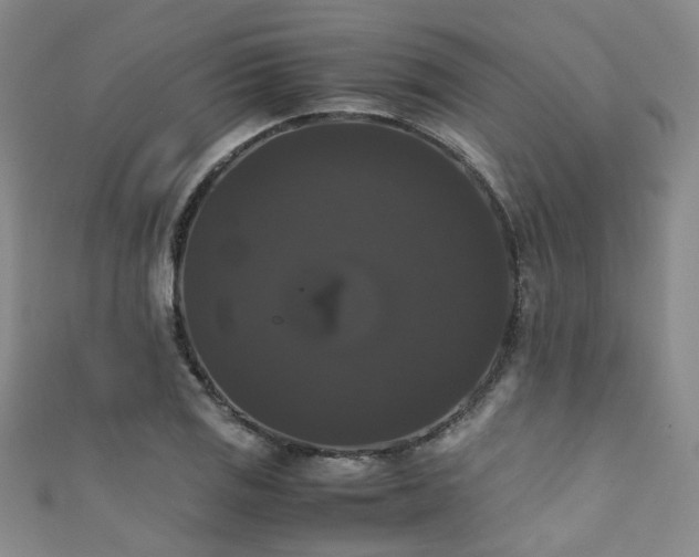 X0000111371125200907101205