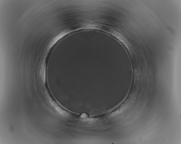 X0000111371127200907101205