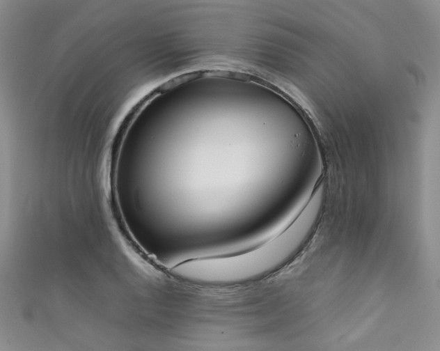 X0000111371128200907101205