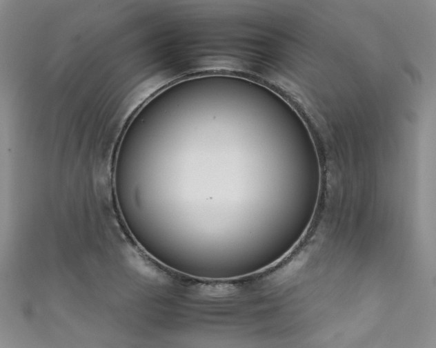 X0000111371129200907101205