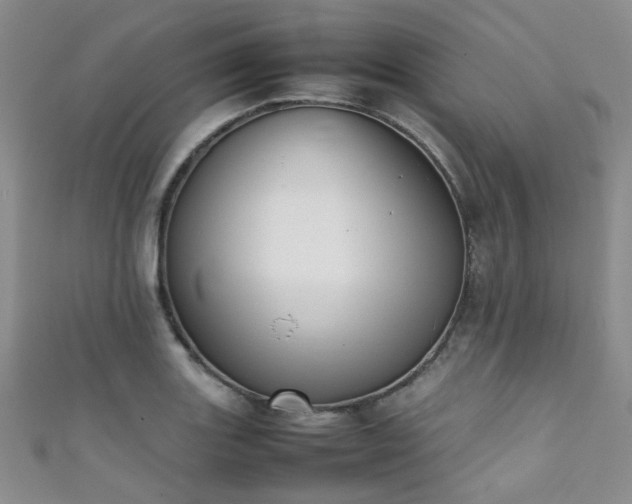 X0000111371131200907101205