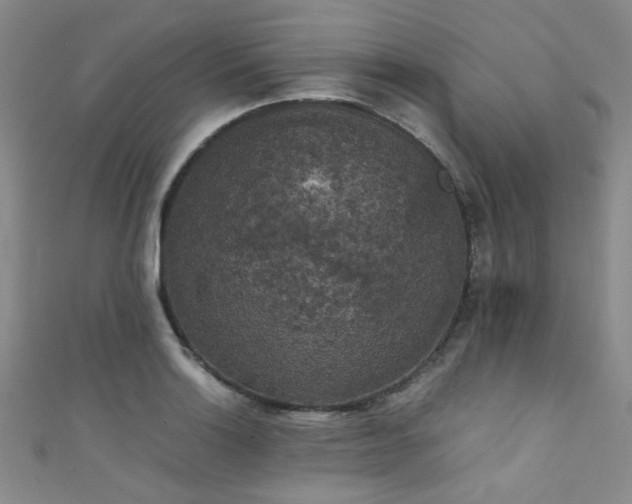 X0000111371132200907101205