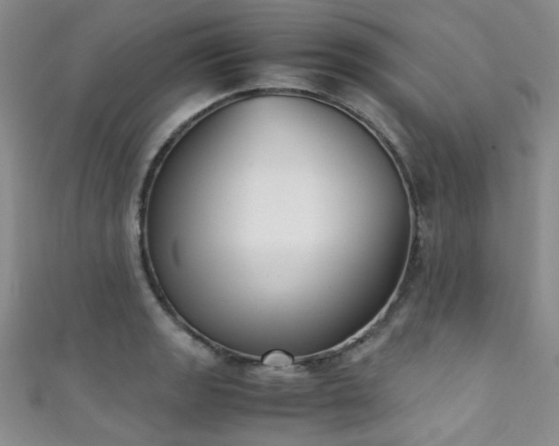X0000111371133200907101205