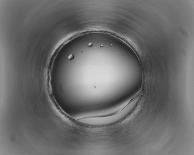 X0000111371134200907101205