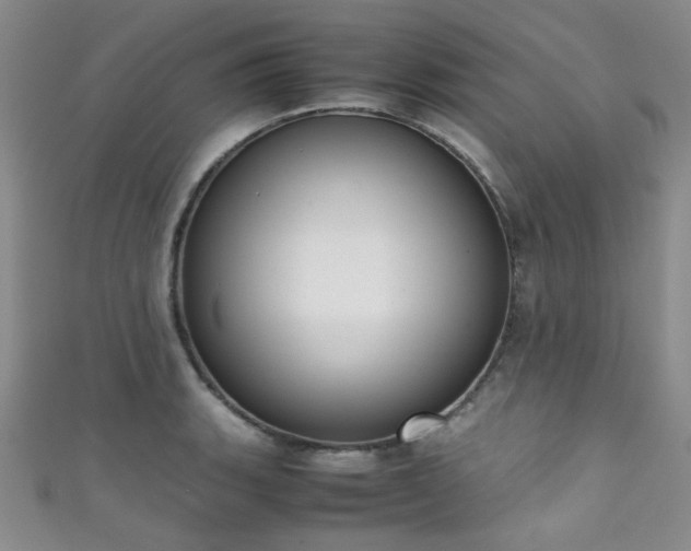 X0000111371135200907101205