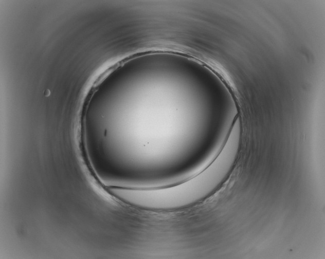 X0000111371136200907101205