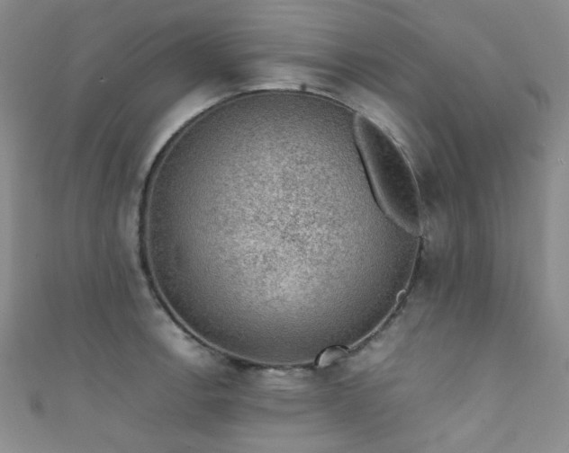 X0000111371138200907101205