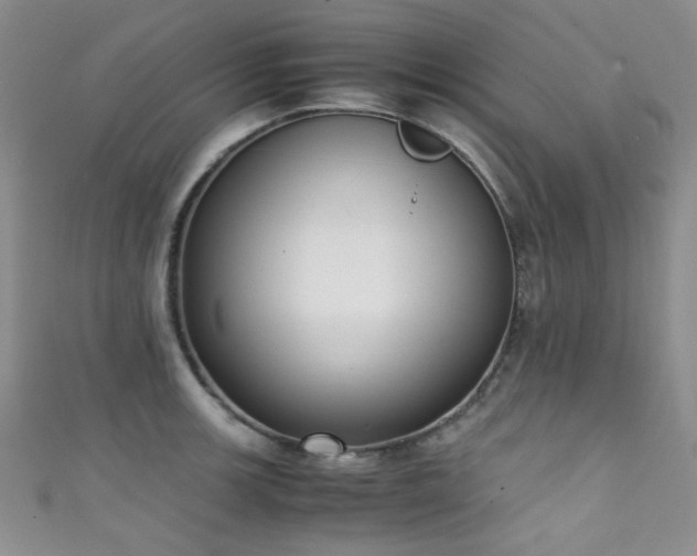 X0000111371139200907101206