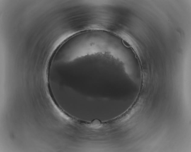 X0000111371141200907101206