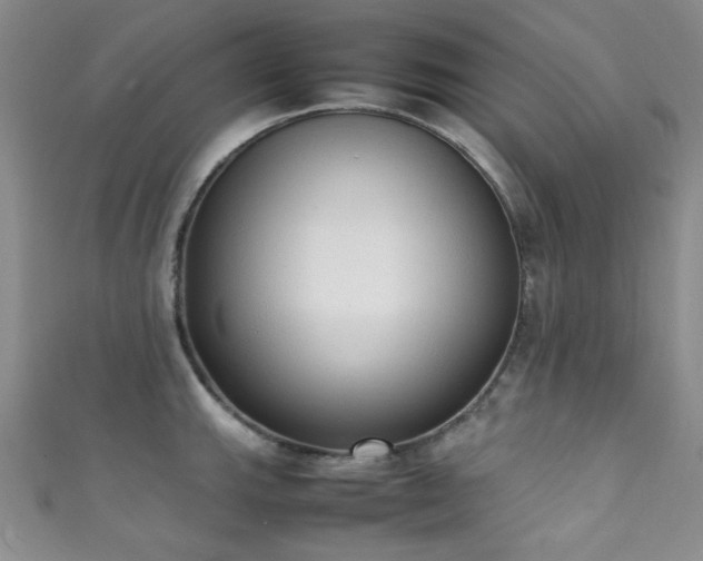 X0000111371143200907101206