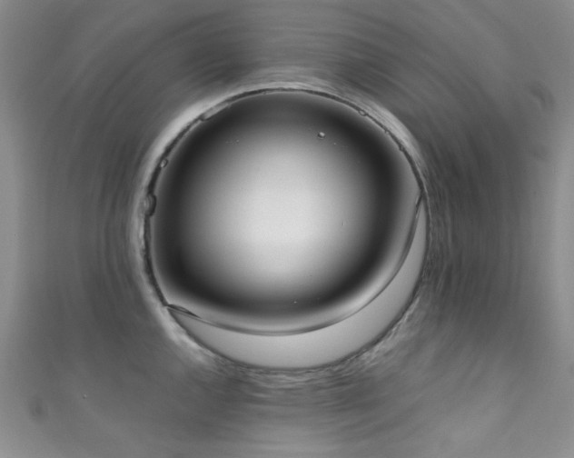 X0000111371144200907101206