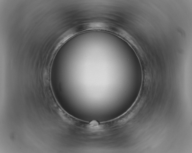 X0000111371145200907101206
