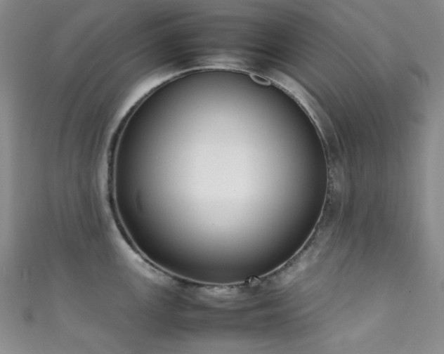 X0000111371147200907101206