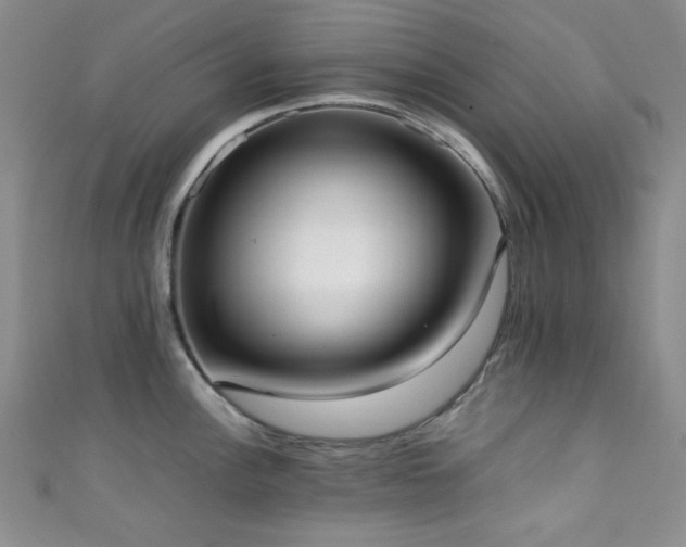 X0000111371148200907101206