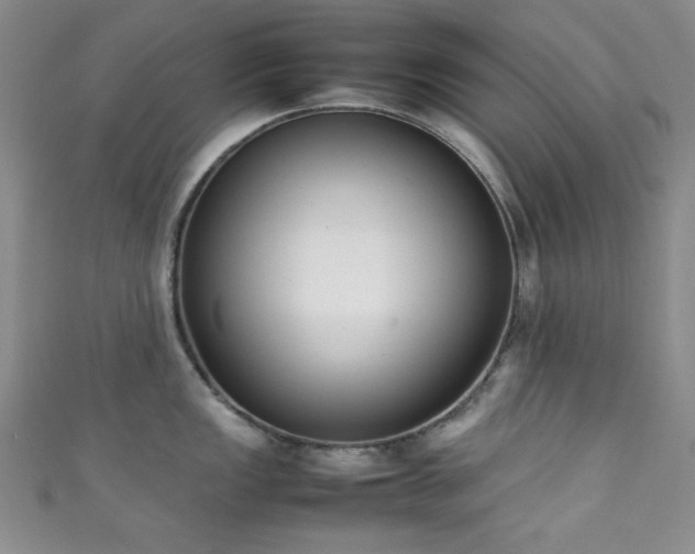 X0000111371149200907101206
