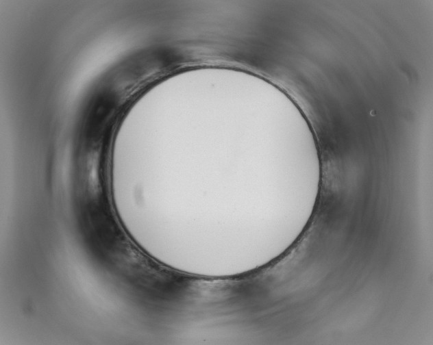X0000111371150200907101206