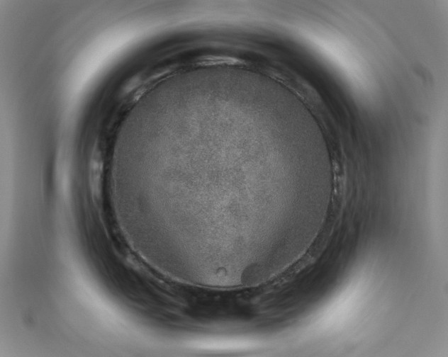 X0000111371151200907101206
