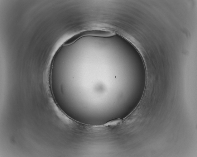 X0000111371152200907101206
