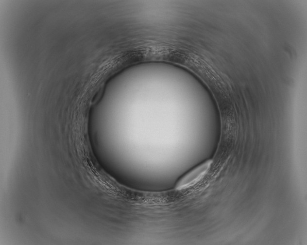 X0000111371153200907101205