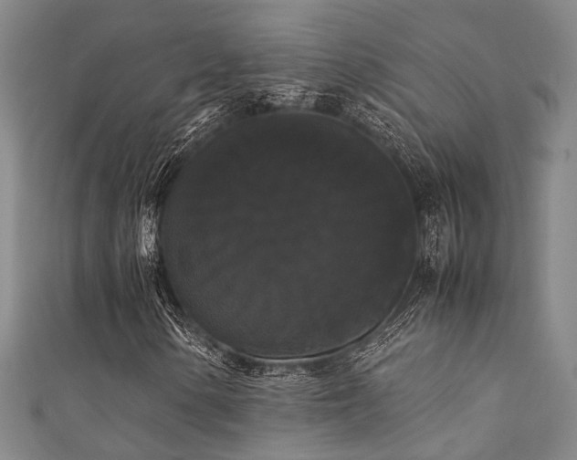X0000111371154200907101205