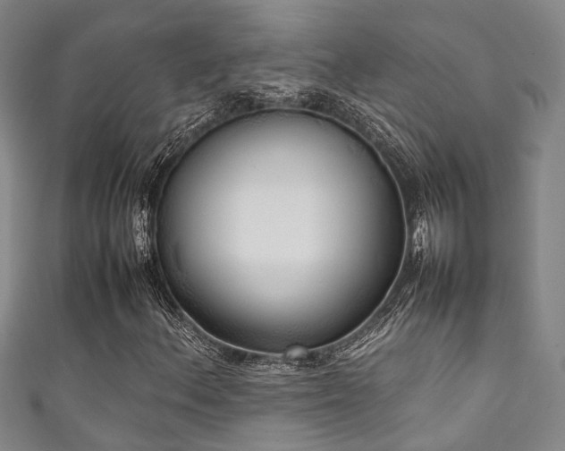 X0000111371156200907101205