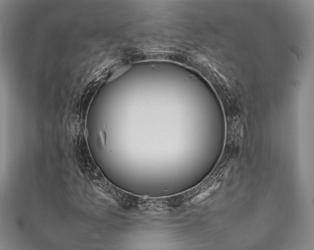X0000111371157200907101205