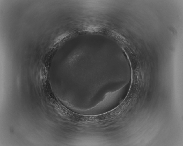 X0000111371158200907101205