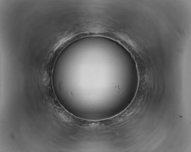 X0000111371160200907101205