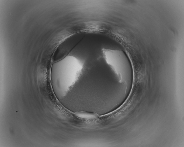 X0000111371161200907101205